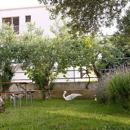 Pepi Apartments 2 زادار المظهر الخارجي الصورة