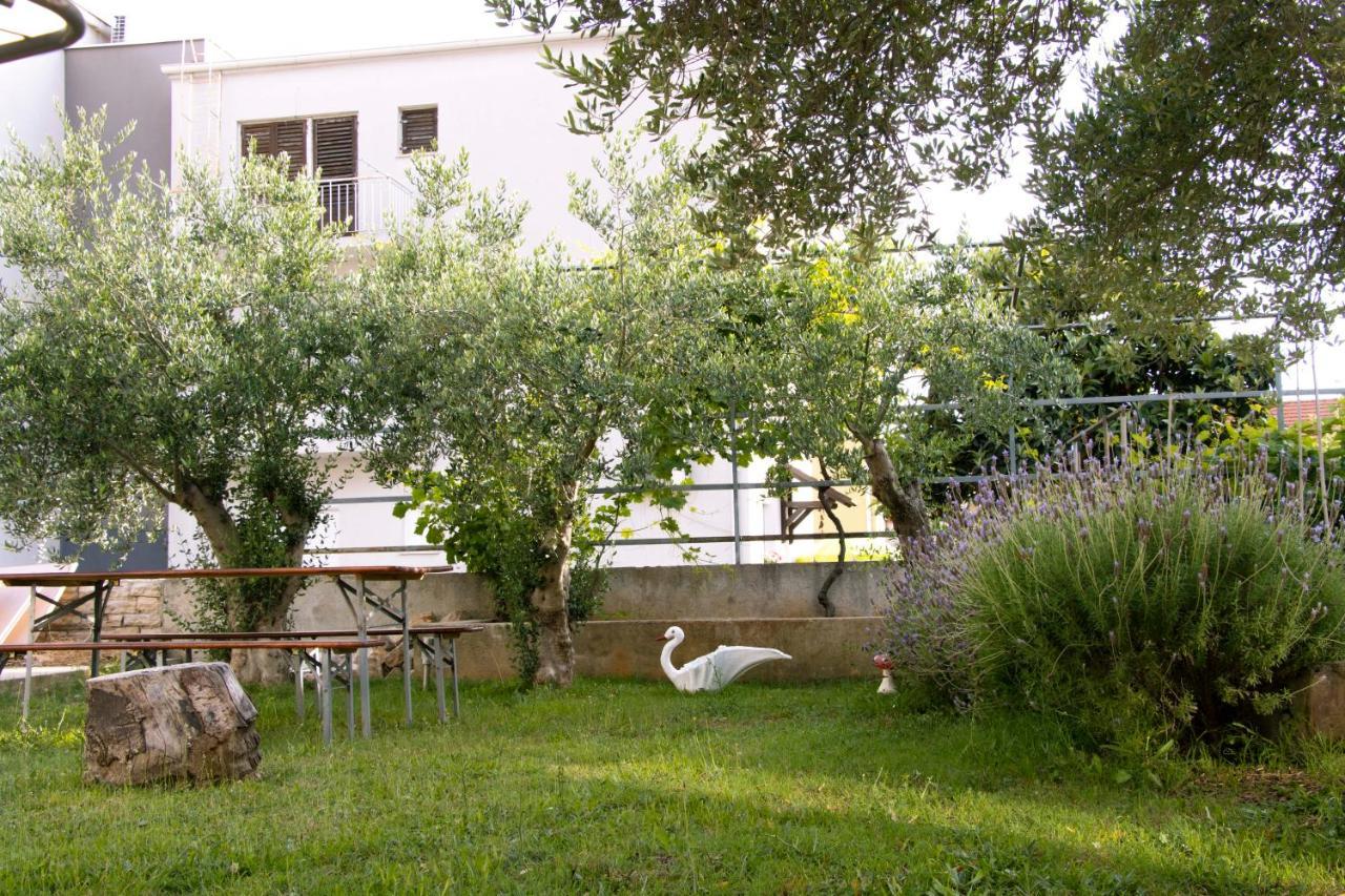 Pepi Apartments 2 زادار المظهر الخارجي الصورة